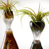 Nurturing Growth - Image 3