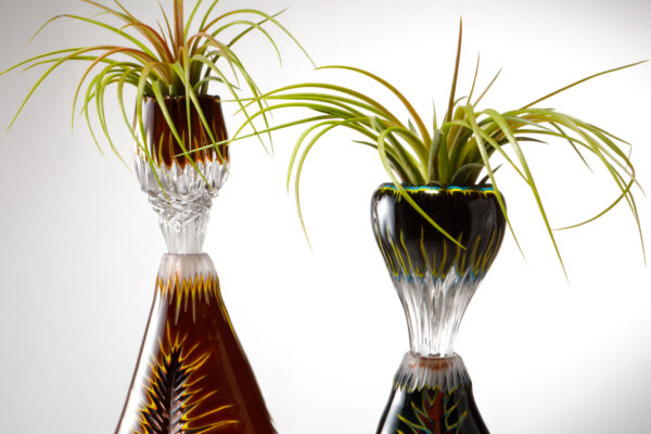 Nurturing Growth - Image 3