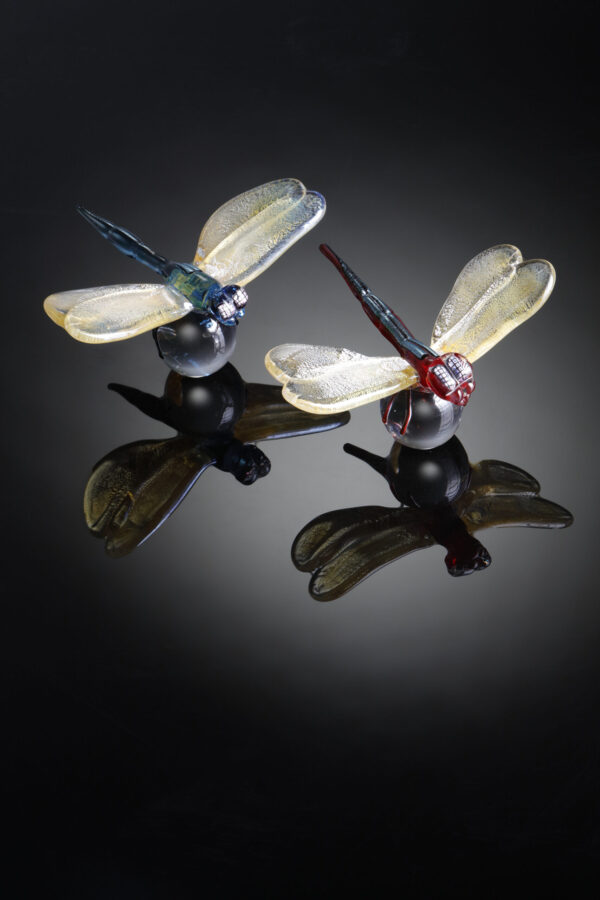 Poised For Flight - Image 7