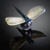 Poised For Flight - Image 9