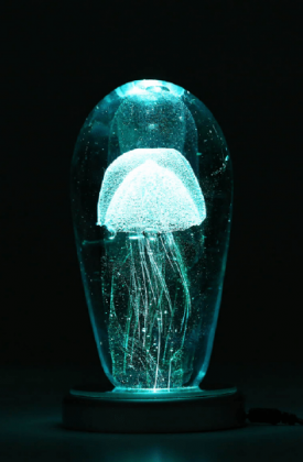 Jellyfish Jellyfish